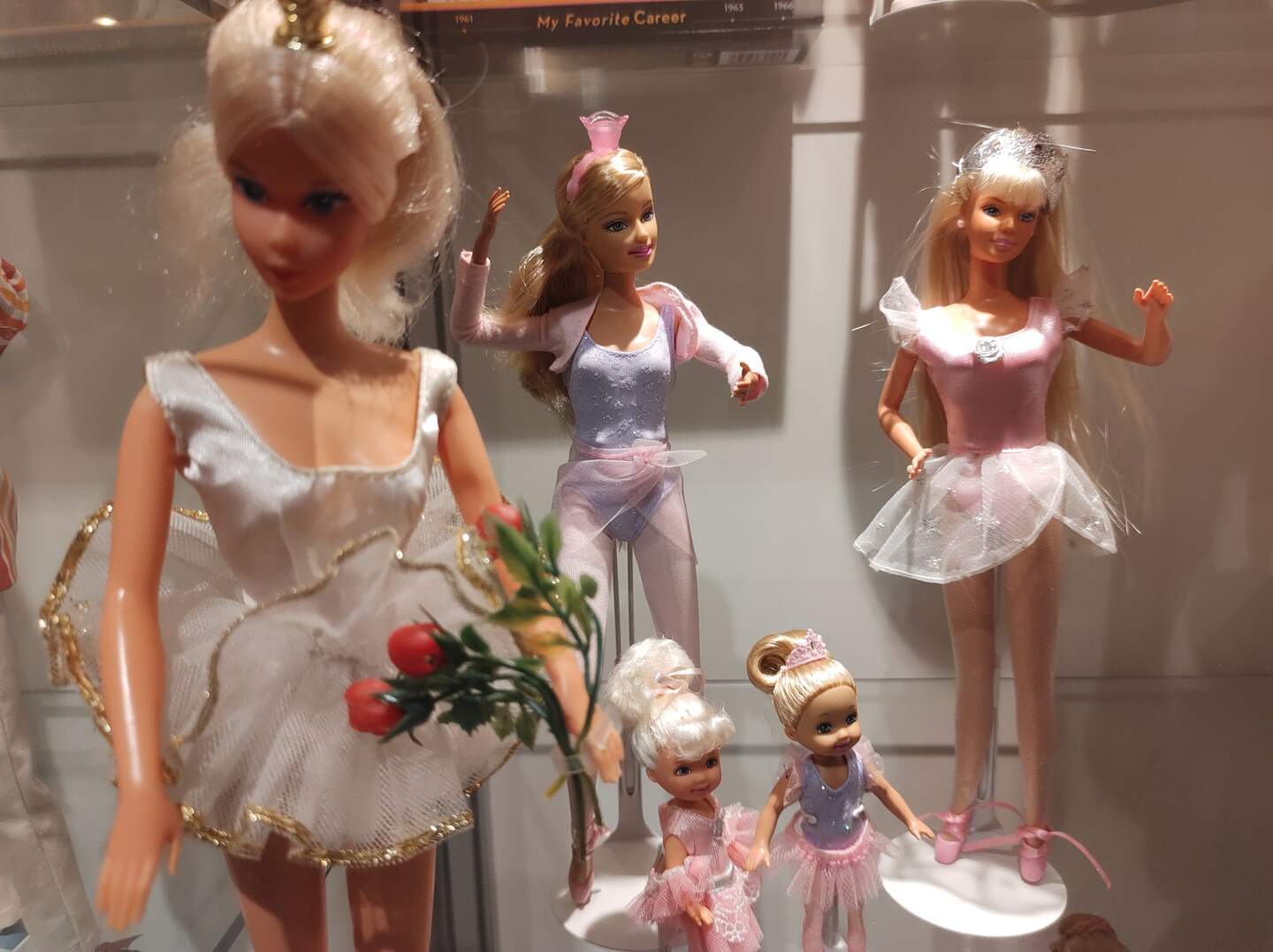 Het zijn vooral bijzondere poppen uit de afgelopen veertig jaar. Zo zijn er ook Barbies te zien die bij bepaalde gelegenheden werden uitgegeven of slechts in enkele landen te koop waren. Het zijn vooral bijzondere poppen uit de afgelopen veertig jaar. Zo zijn er ook Barbies te zien die bij bepaalde gelegenheden werden uitgegeven of slechts in enkele landen te koop waren.